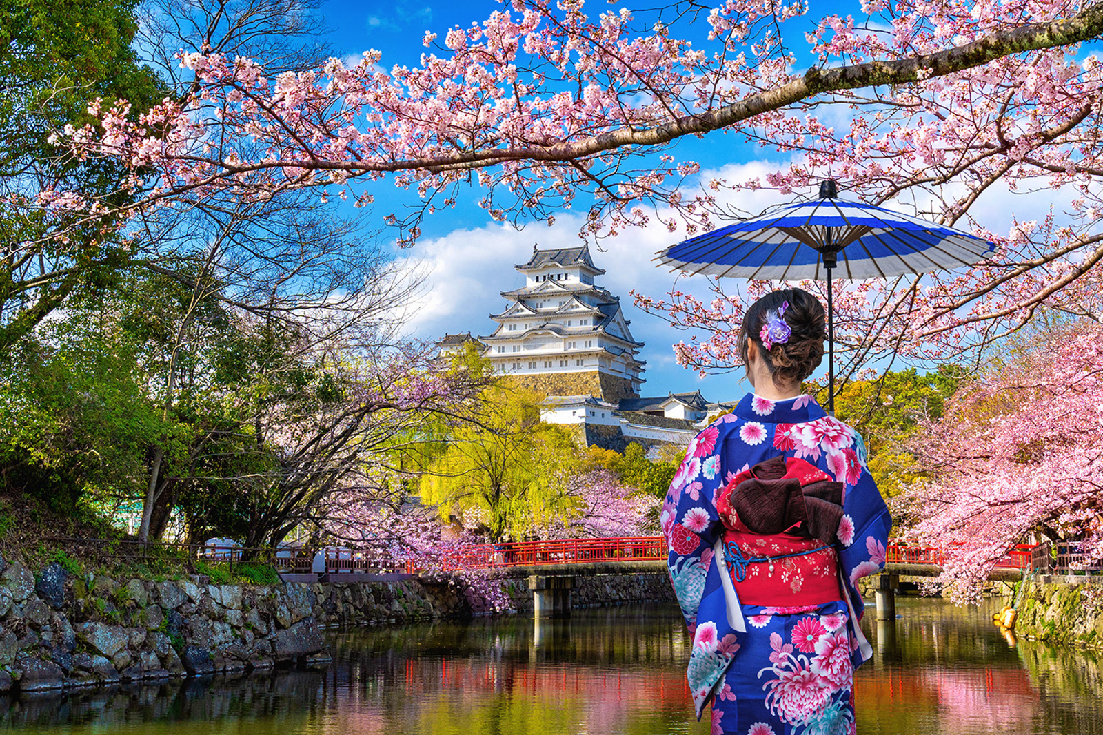 Japonya Turu 2026 Sakura Dönemi