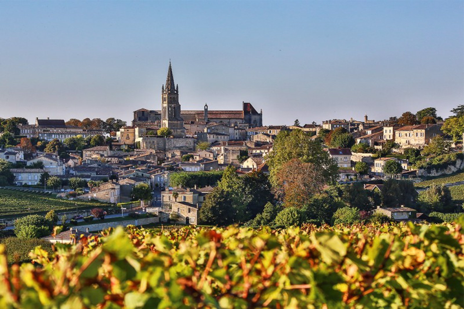 Bordeaux Şatoları ve Köyleri Turu
