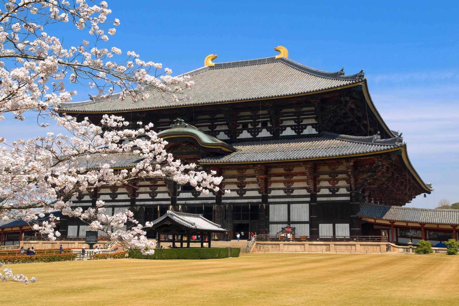 Güney  Kore Ve Japonya Turu  07 Kasım 