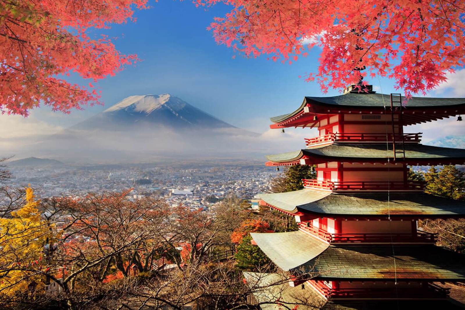 Japonya Turu Koyo Özel 11 Ekim 