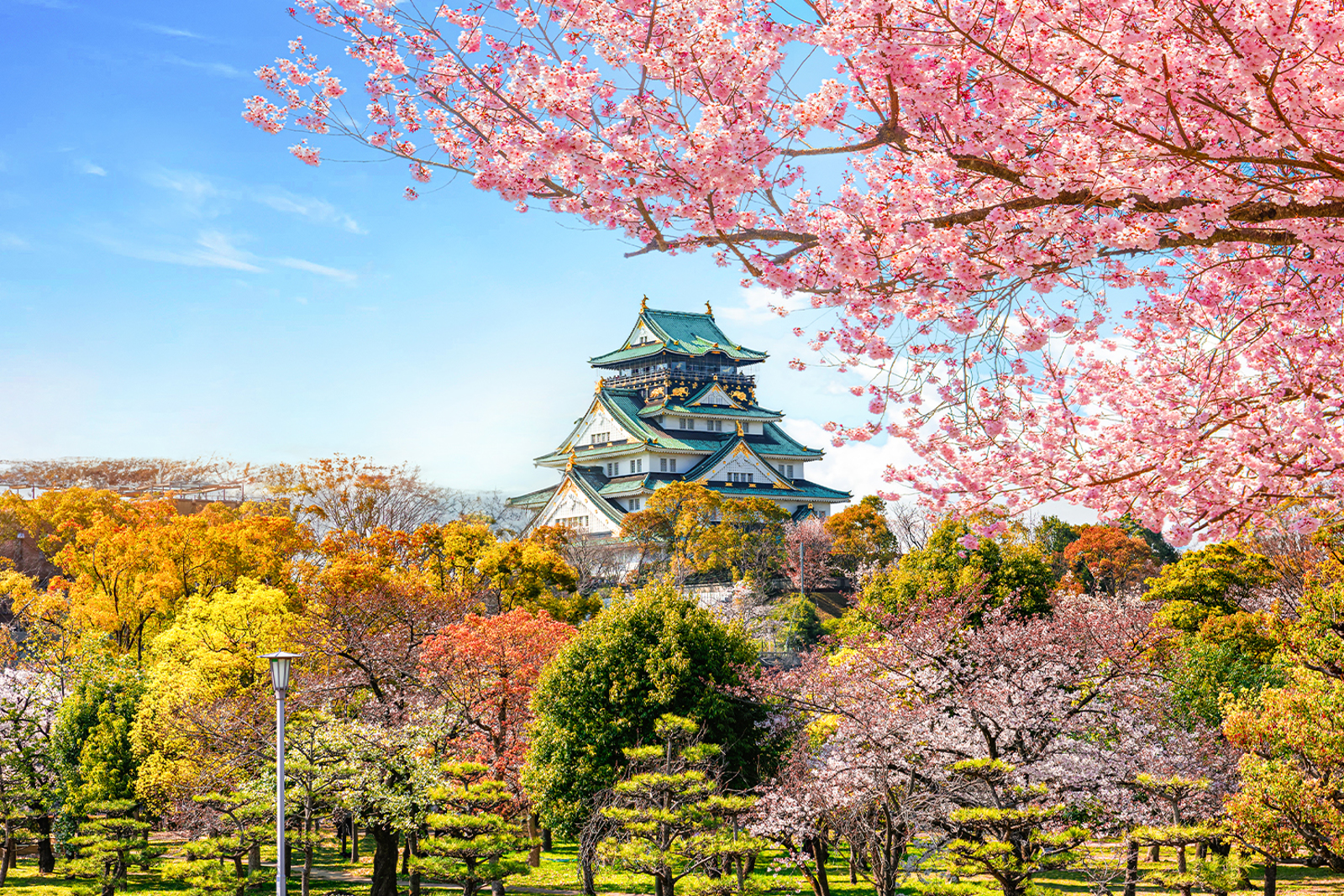 Güney Kore & Japonya & Hong Kong Turu - THY ile 10 Gece - 19 Mayıs 2026 Kurban Bayramı Özel - ICN HKG