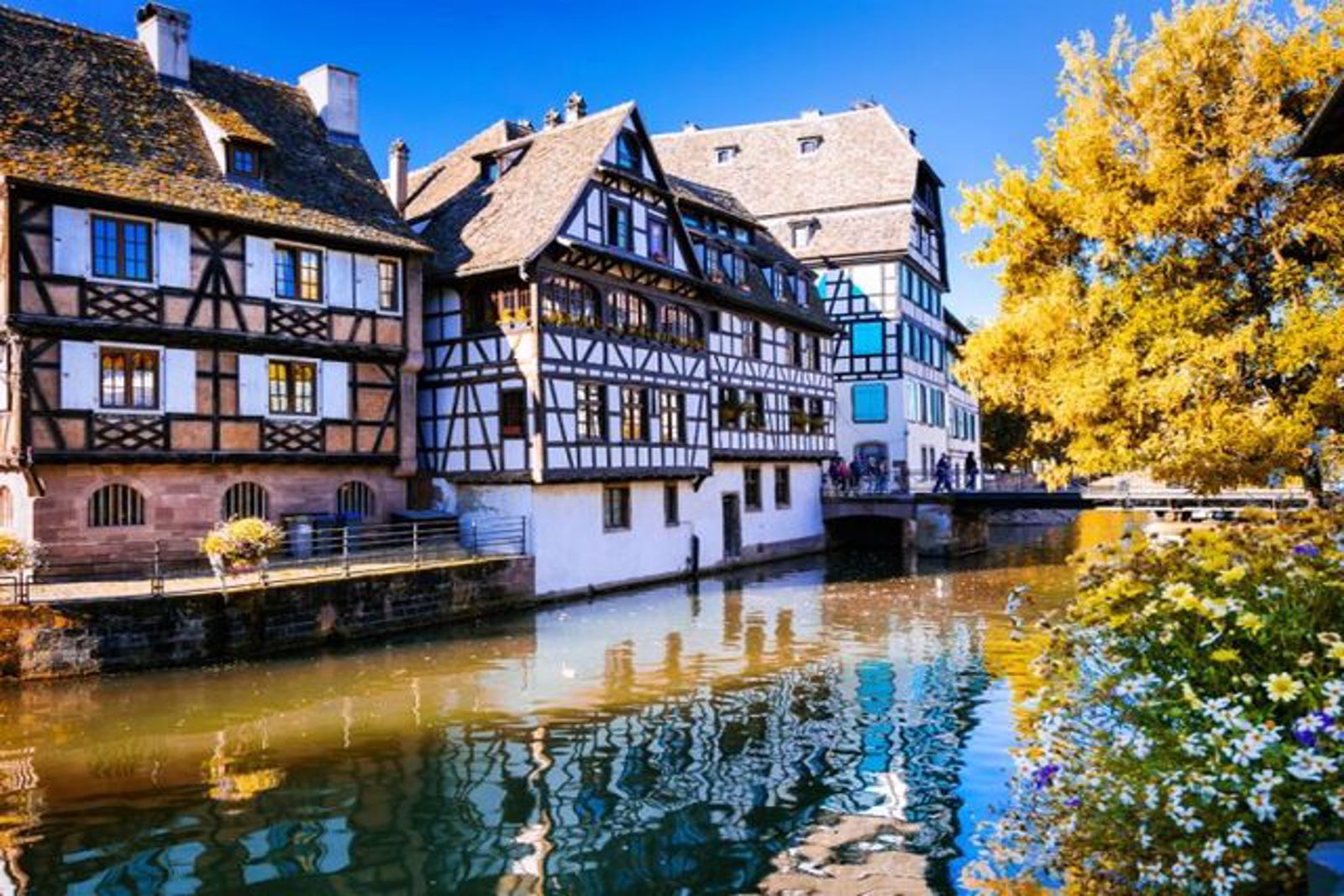Mega Benelüx Paris  Colmar  Köln Turu Haziran Ağustos 