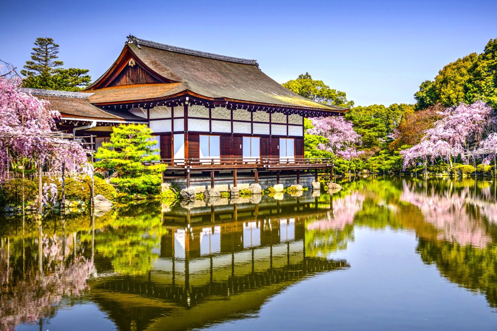 Japonya Turu 05 Aralık 2025