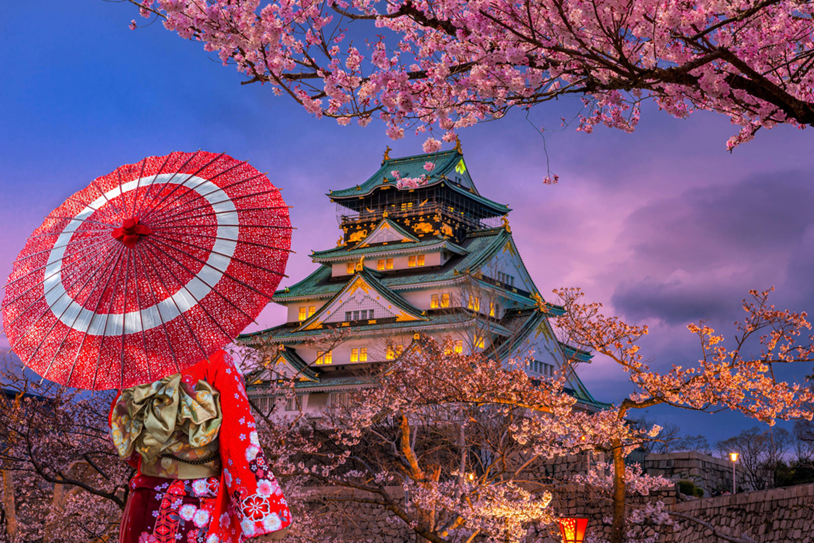 Elegant Japonya & Güney Kore Turu (Koyo Zamanı) 
