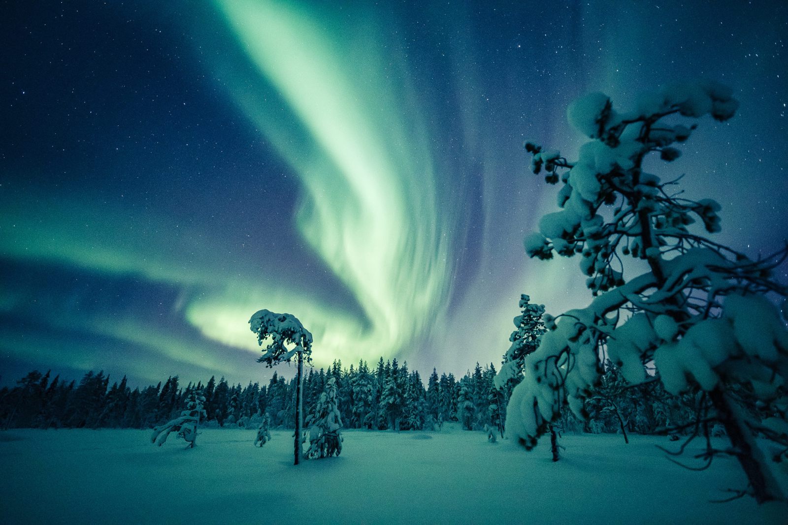 Kuzey Işıkları Turu Lapland Murmansk  St. Petersburg   Moskova  Tüm Panoramik Şehir Turları Dahil 