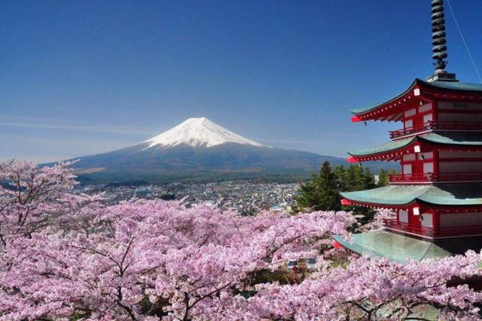 Japonya Turu  07 Kasım 