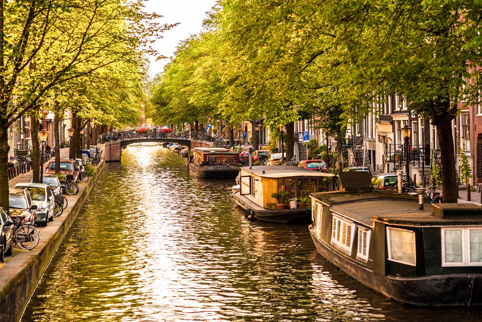 Kıbrıs’tan 5 Ülke ile Benelüks & Paris & Köln Promo 12 Temmuz 2026 Hareket