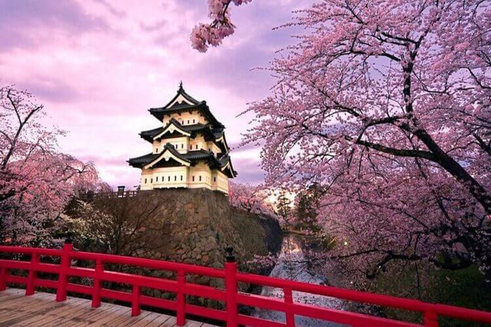 Japonya Turu Sakura Zamanı - Tadım Turu 03 Nisan 2026